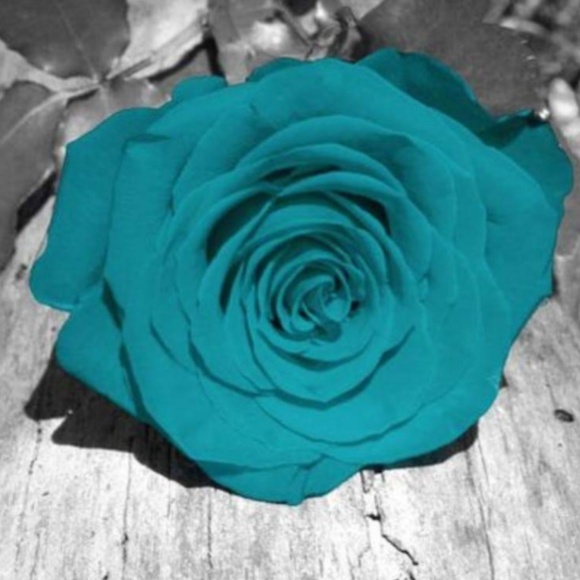 Meet your Posher, Mum. - Picture 3 of 5